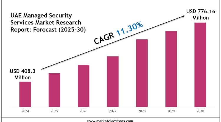 Top Companies in the UAE Managed Security Services Market 2030