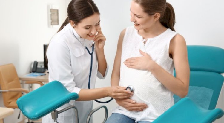 The Journey of Motherhood: Guided by Experts