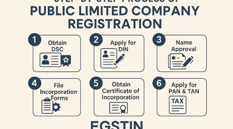 Step-by-Step Process of Public Limited Company Registration