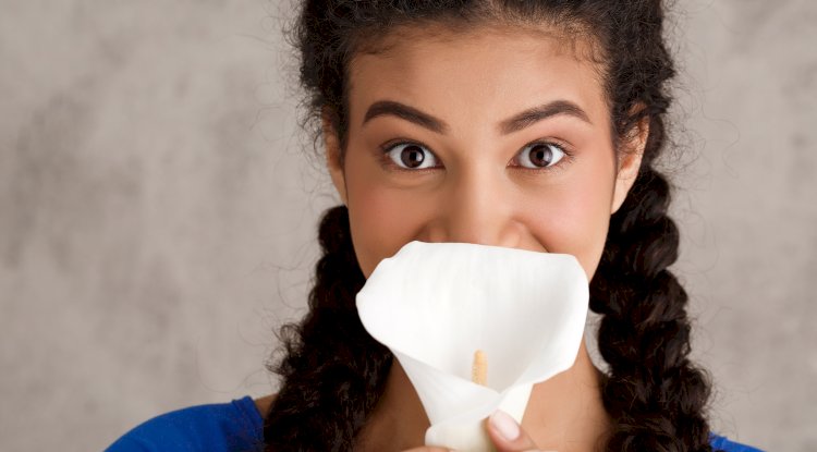 Recurring Yeast Infections and the Gut: Is There a Connection? 