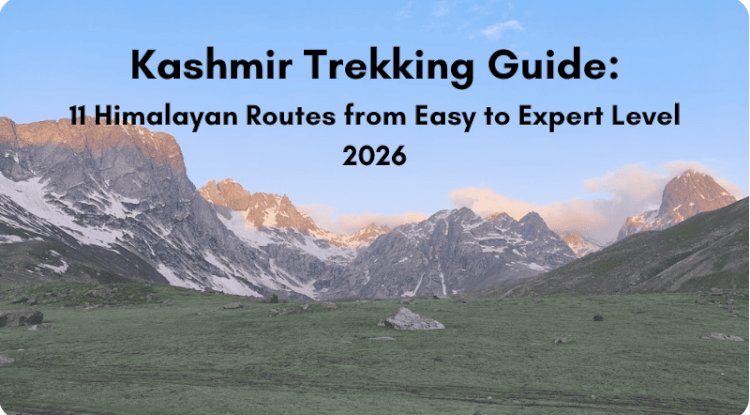 11 Kashmir Treks That Rewrote My Understanding of Mountain Adventures