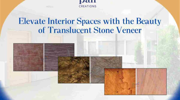 Elevate Interior Spaces with the Beauty of Translucent Stone Veneer