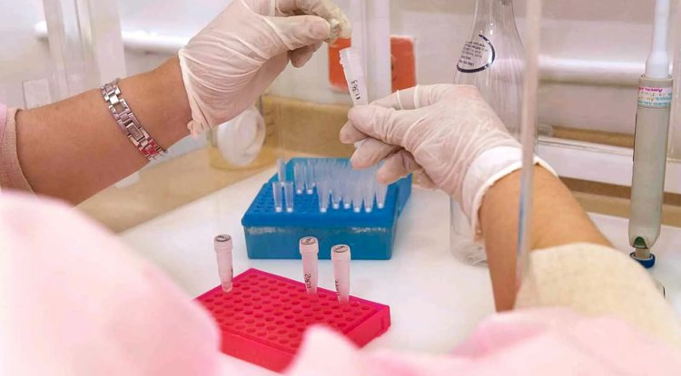 How a Gardnerella Vaginalis Test Helps Rule Out Other Infections