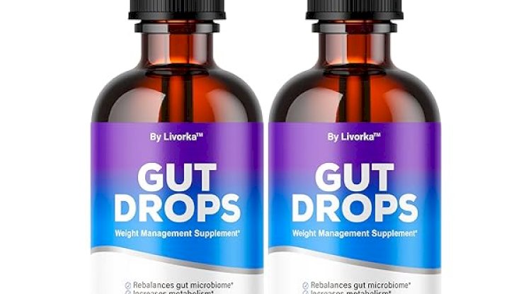 Gut Drops – Natural Digestive & Gut Health Support