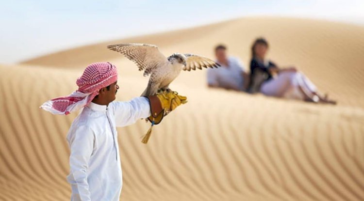 Why Tourists Prefer Premium Red Dunes Safari Over Other Desert Tours