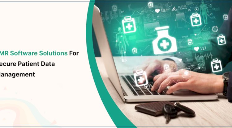 EMR Software Solutions for Secure Patient Data Management