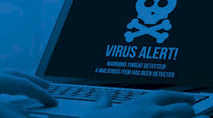 How Virus Removal Service in Cambridge Helps Prevent Data Loss