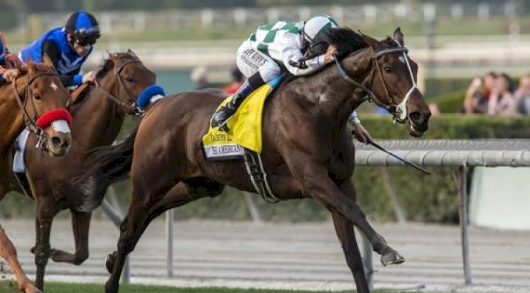 How to Choose the Best Horsemanship Classes in Lexington, MA