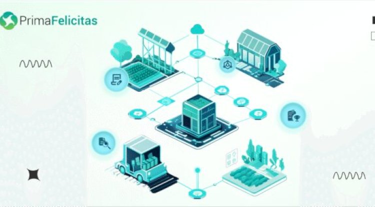How Blockchain Technology Ensures Security in the Digital Age?