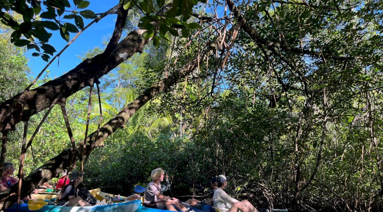 How a Caribbean Eco Lodge Panama Combines Comfort with Sustainability