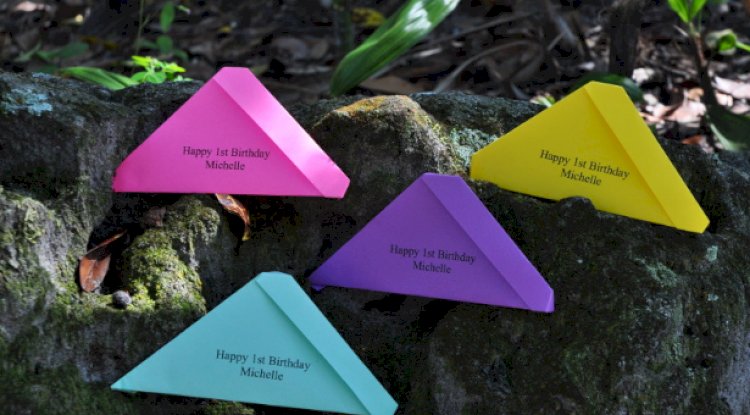 Choosing Butterfly Release Packages For Meaningful Ceremonies