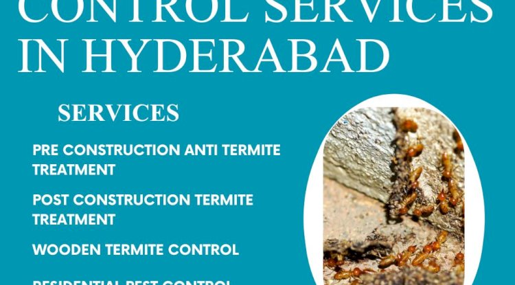 Termite Pest Control Services in Hyderabad