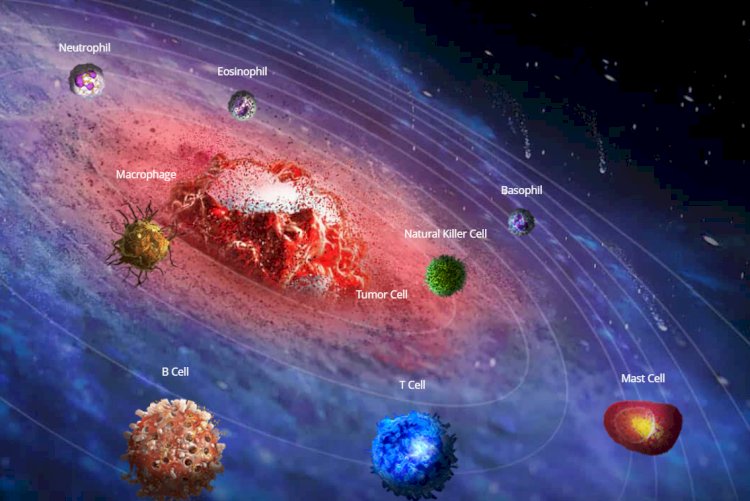 How to Boost Your Immune System Naturally