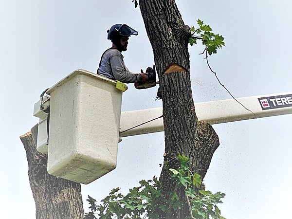 Storms in Ohio: How Severe Weather Can Affect Homes, Trees, and Communities