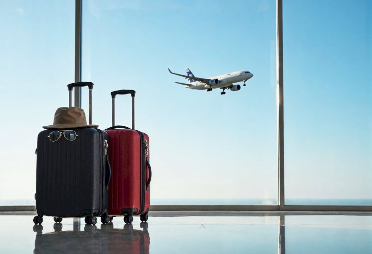 JetBlue Terminal at Logan Airport: Dining, Lounges, and Travel Essentials