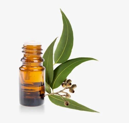 Nature’s Pharmacy: Discover the Best Natural Skincare & Aromatherapy Products Store in India