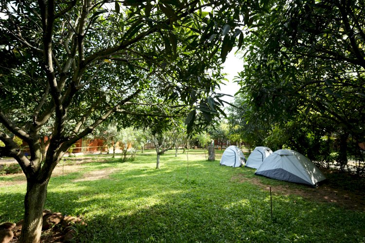 From Sunrise to Starry Night: A Full Day at Suggee Resort