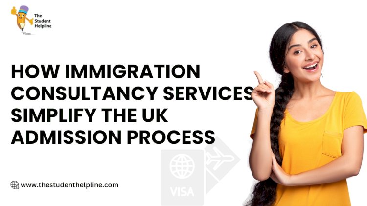 When to Contact an Immigration Consultant During Your Study Abroad Journey