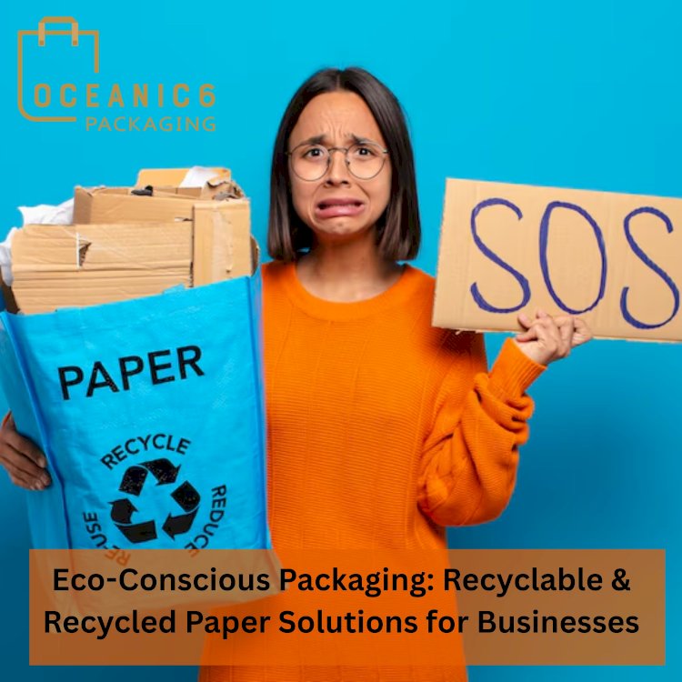 Sustainable Packaging Solutions: Recycled Brown Kraft Paper Bags with Twisted Handle