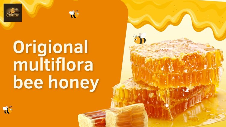 Original Multiflora Bee Honey – Pure, Raw & Naturally Harvested