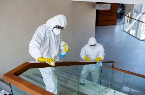  The Role of an Asbestos Remediation Contractor in Ensuring Safety