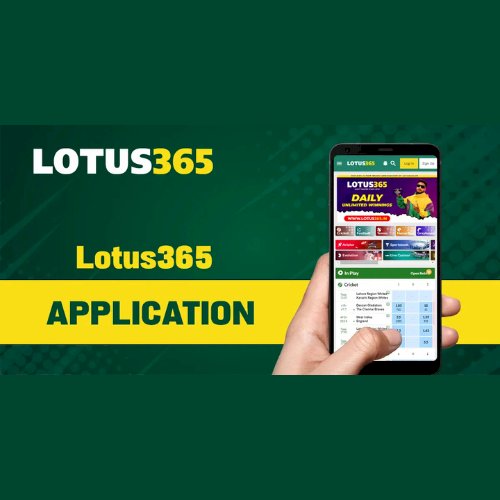 How to Get Started on Lotus365 in 5 Easy Steps