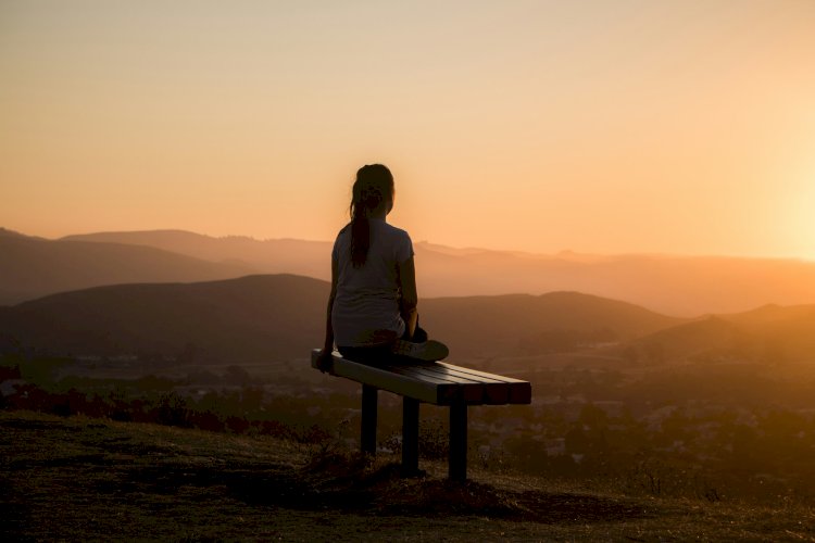Ashwagandha Gummies vs. Capsules: Which Delivers Better Stress Relief for Busy Professionals?