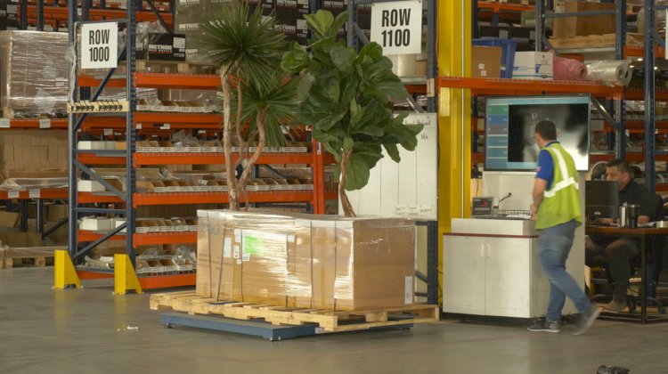 Automated Dimensioners: Optimizing Shipping Accuracy