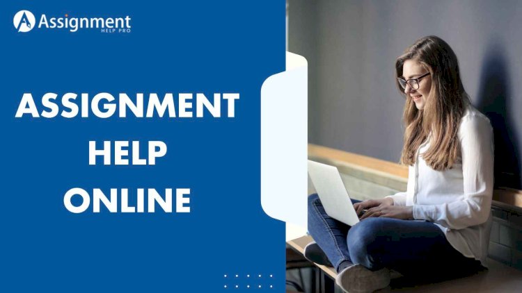 Top 5 Apps To Solve Assignments Faster Every Student Must Know 