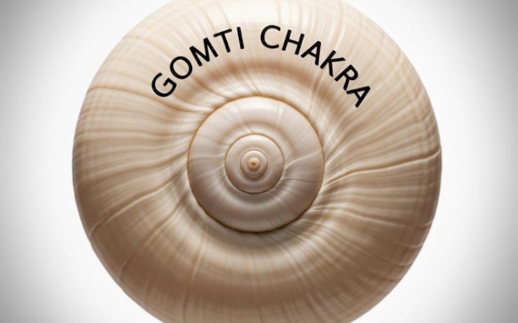 Gomti Chakra for Protection, Prosperity, and Peace