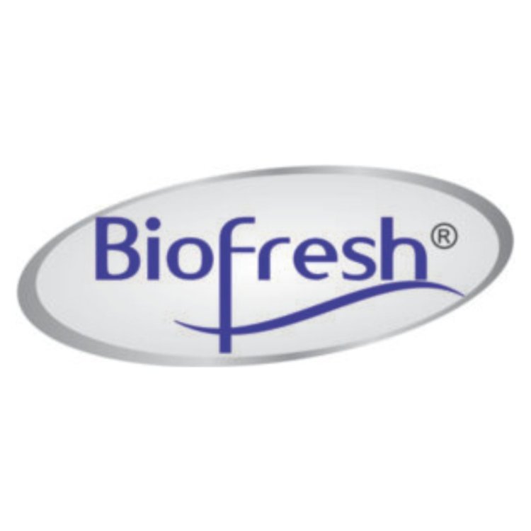 "Why Bio Fresh Incense is the Leading Incense Stick Manufacturer for Quality & Purity"