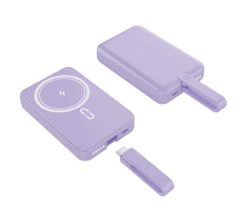 Inside the Power Bank Factory of Hive Electronics LLP