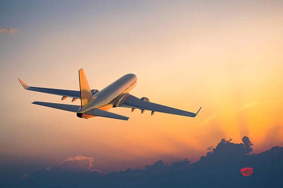 What Is SkyCot On Delta Airlines?