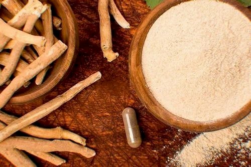 Establishing a Ashwagandha Powder Manufacturing Plant Report 2025, Project Cost Details
