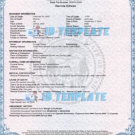 Free Drivers License Template & Blank Texas Birth Certificate