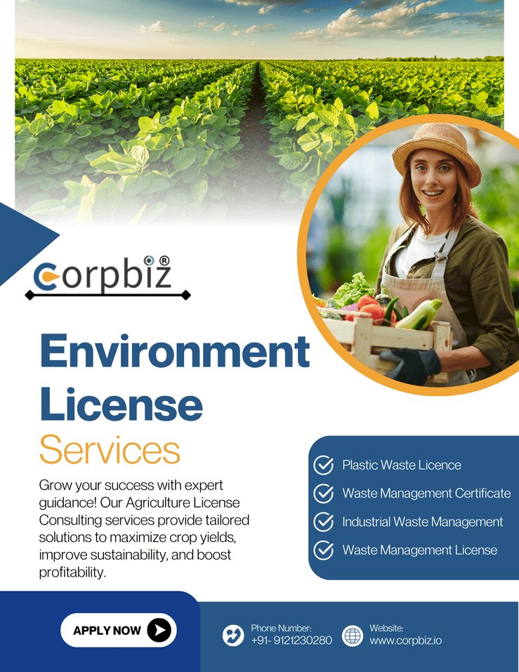 Top Company Incorporation Made Easy: A Step-by-Step Guide for 2025