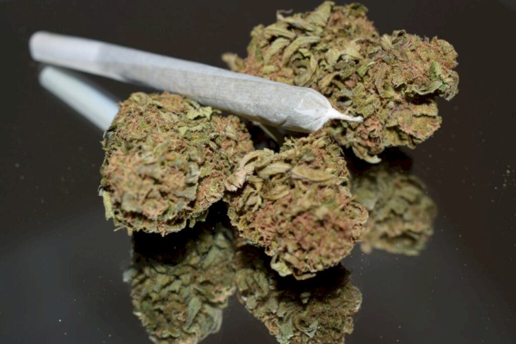 How Can You Find the Best Weed Dispensary DC Today?
