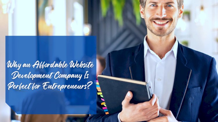 Why an Affordable Website Development Company Is Perfect for Entrepreneurs?