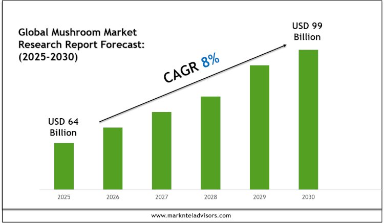 Mushroom Market Size, Share, Trends & Forecast 2030