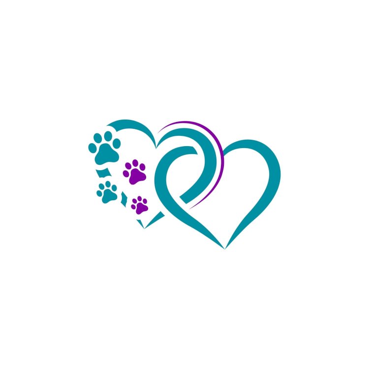 The Impact of Pet Euthanasia on Other Pets in the Household