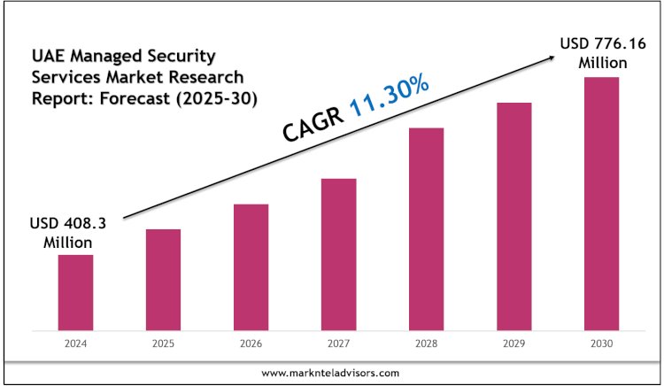Top Companies in the UAE Managed Security Services Market 2030