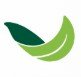 How PlantArk Helps Preserve Australia’s Native Plant Species